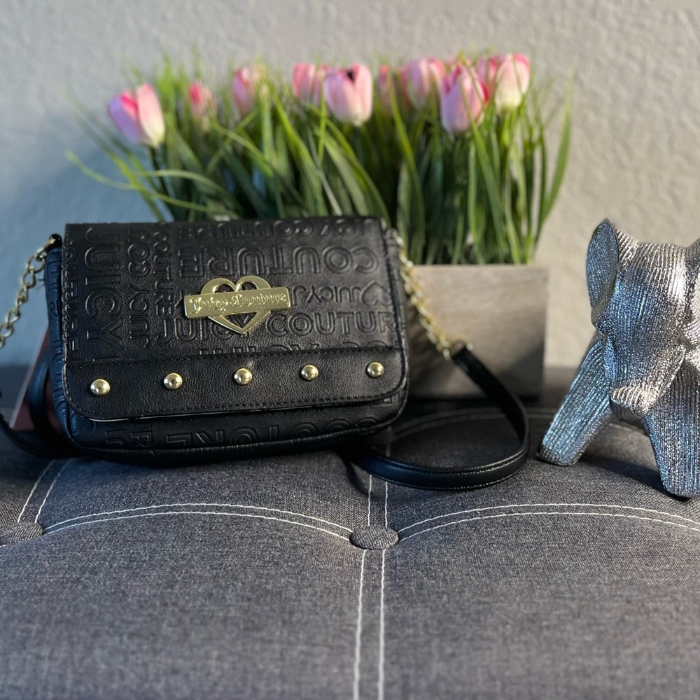 Juicy Couture Purse (black)